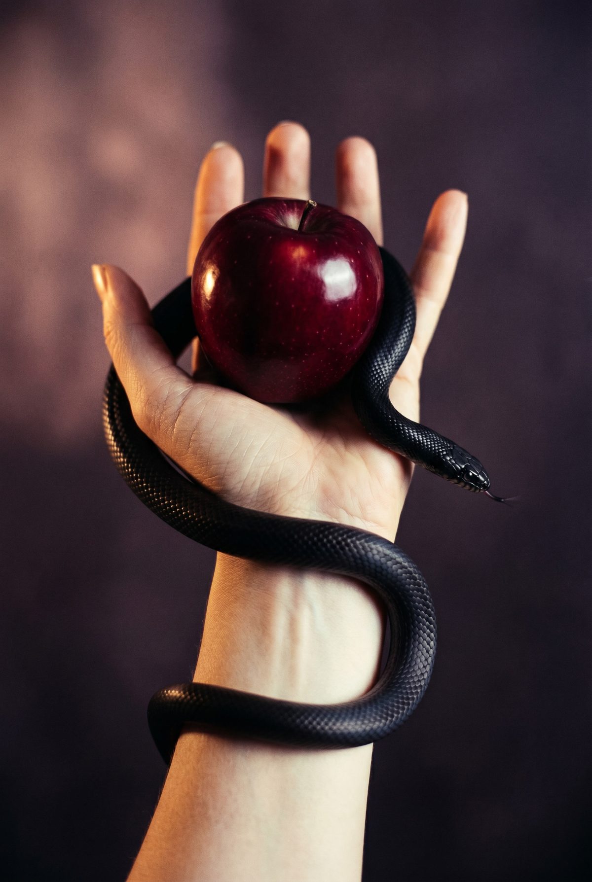 Hand hält Apfel, schwarze Schlange um das Handgelenk gewunden